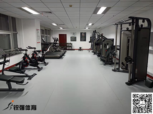 濟(jì)南某集團(tuán)采購(gòu)的leyu.樂魚體育提供的健身器材